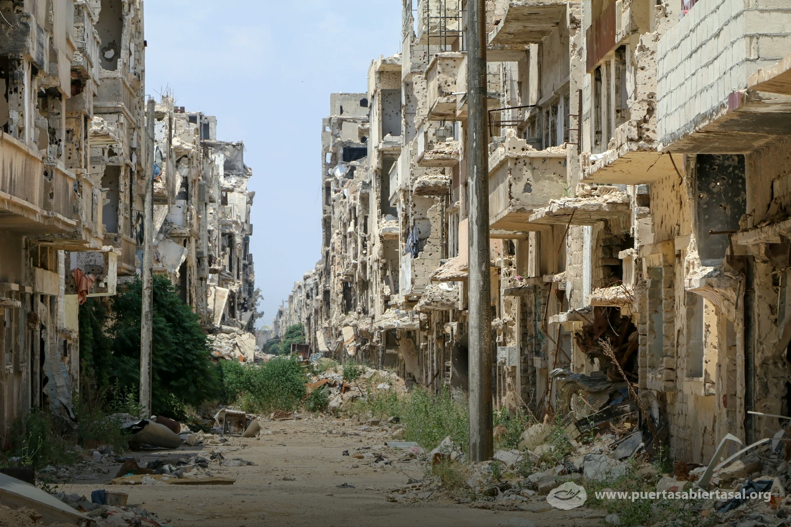 Siria vive una guerra civil que ha dañado al país hace años